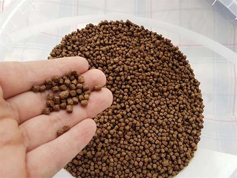 تصویر 2 از قیمت خرید غذای خشک ماهی گوشتخوار + فروش ویژه